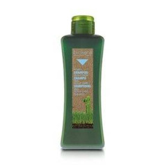 BIOKERA SCALP CARE SHAMPOO Salerm - 1