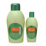 Shampoo For Treated Hair Salerm - 1