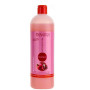 Salerm Pomegranate shampoo, 1000ml Salerm - 1