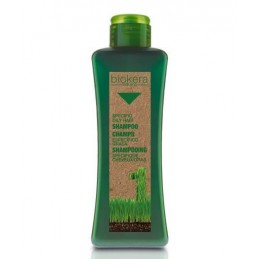 Oily hair shampoo 1000 ml Salerm - 1