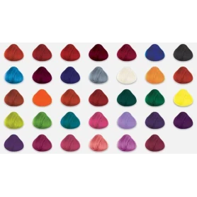 Swatch chart (direction colors) La Riche - 1