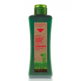 Shampoo specific hair regenerating, 300 ml Salerm - 2